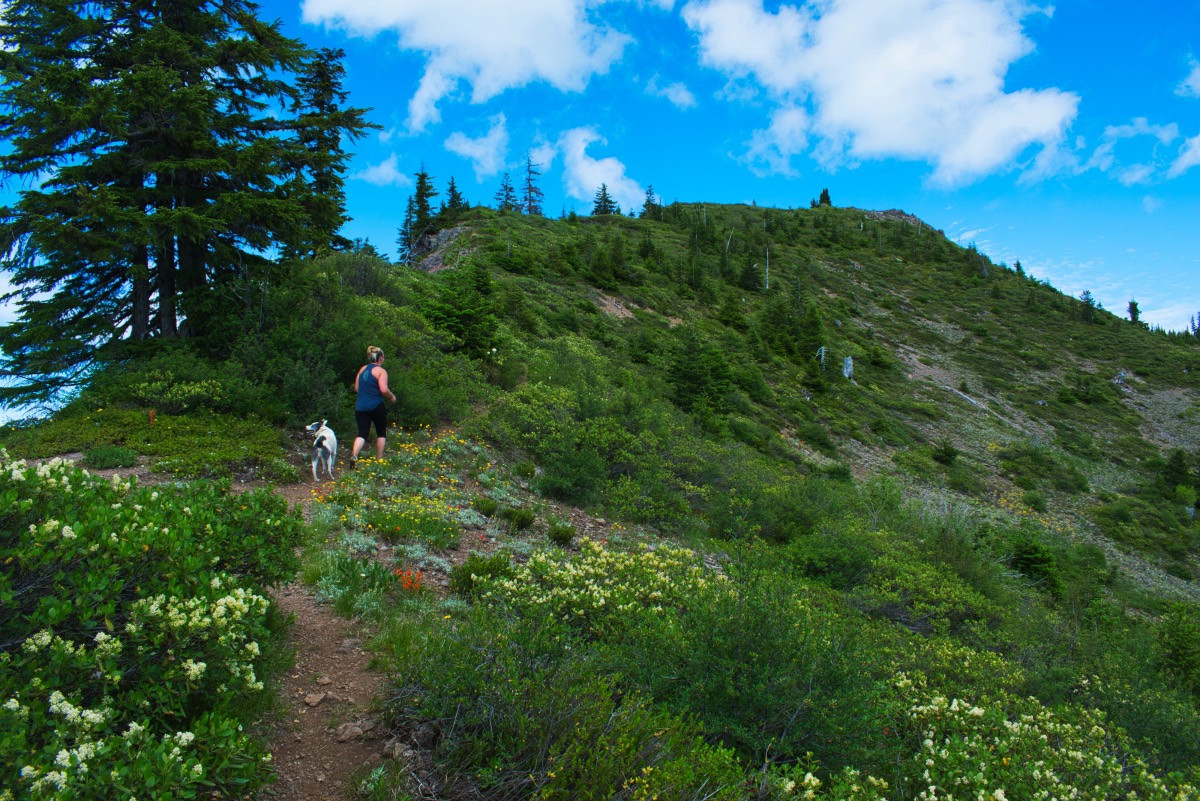 Bachelor Mountain Hike Image