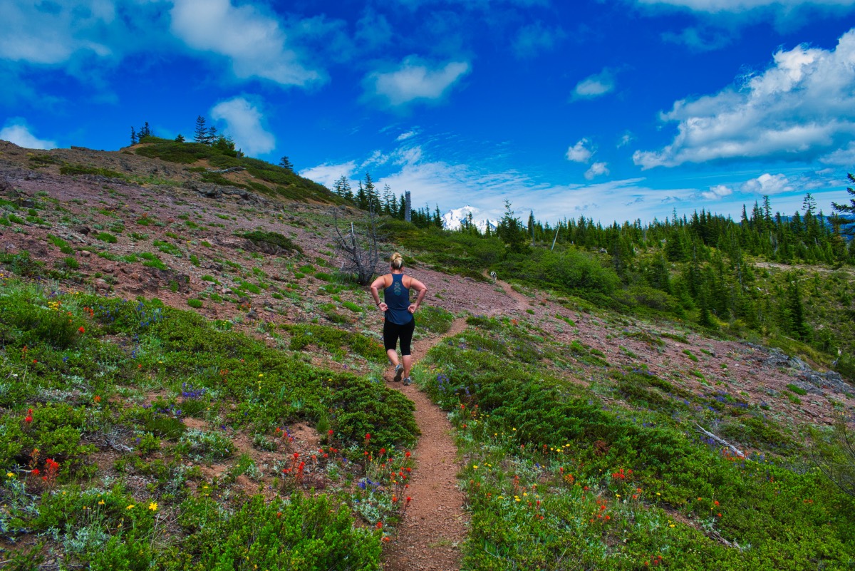 Bachelor Mountain Hike Image