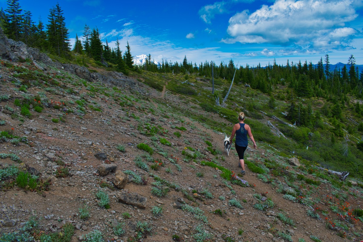 Bachelor Mountain Hike Image