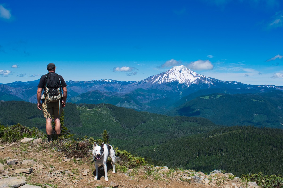 Bachelor Mountain Hike Image