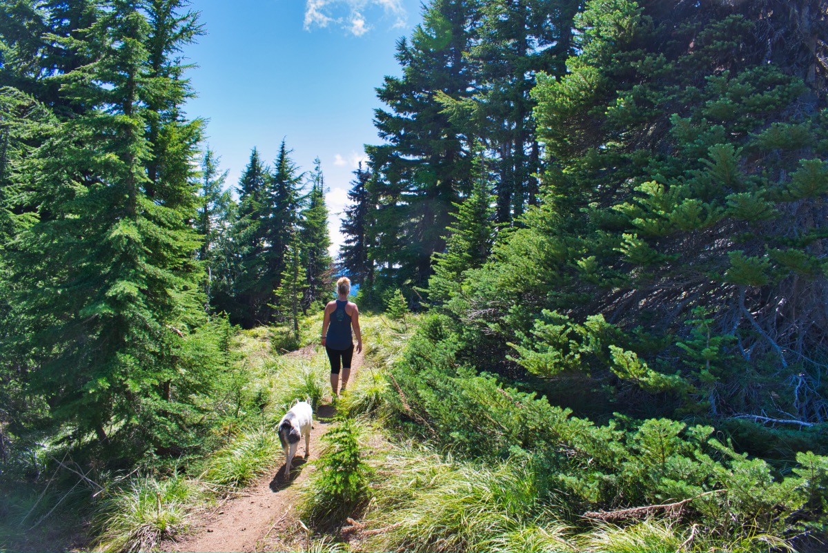 Bachelor Mountain Hike Image