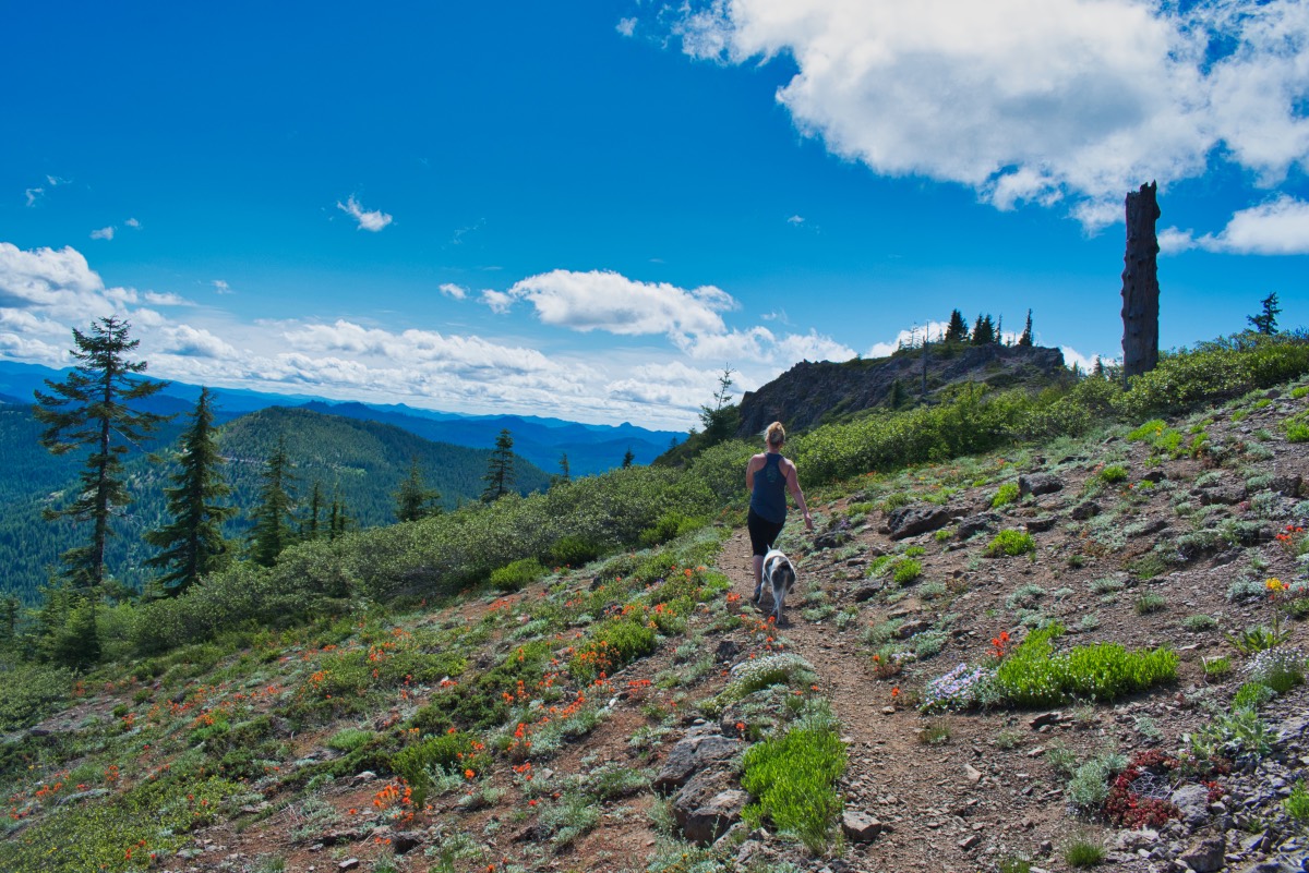 Bachelor Mountain Hike Image