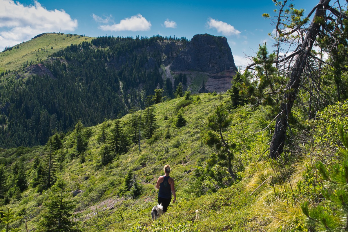 Bachelor Mountain Hike Image