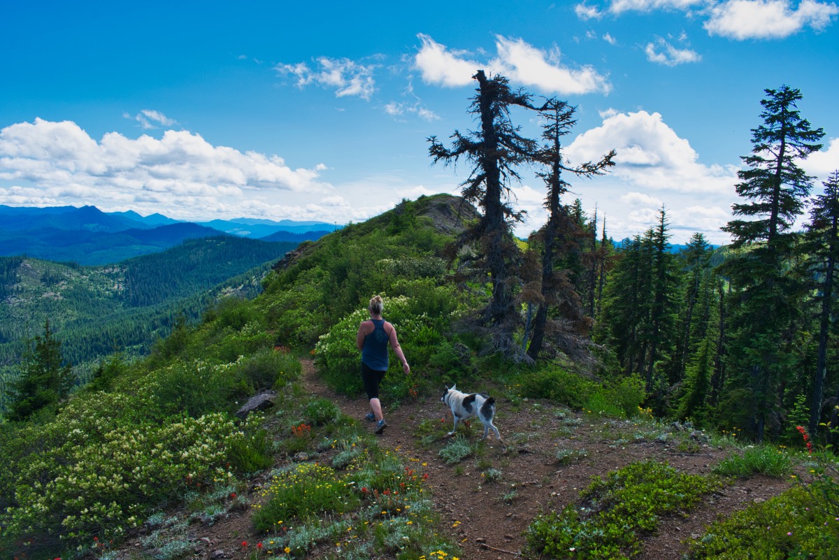 Bachelor Mountain Hike Image