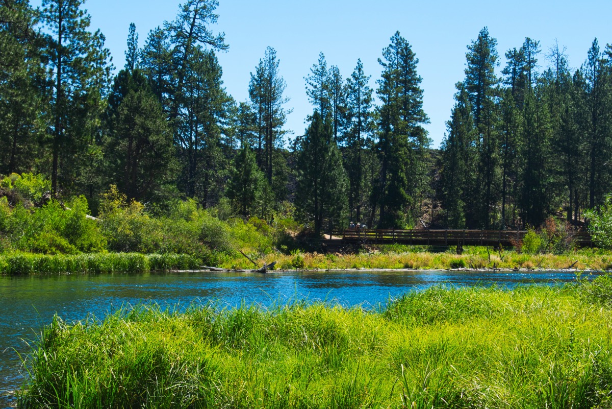 Benham Falls Hike Image