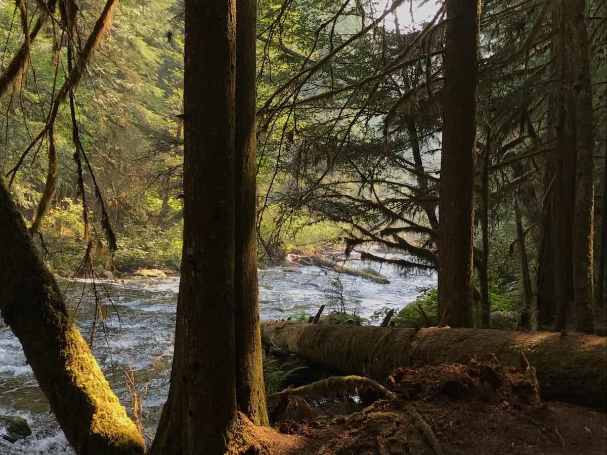 Blue Pool Hike Image