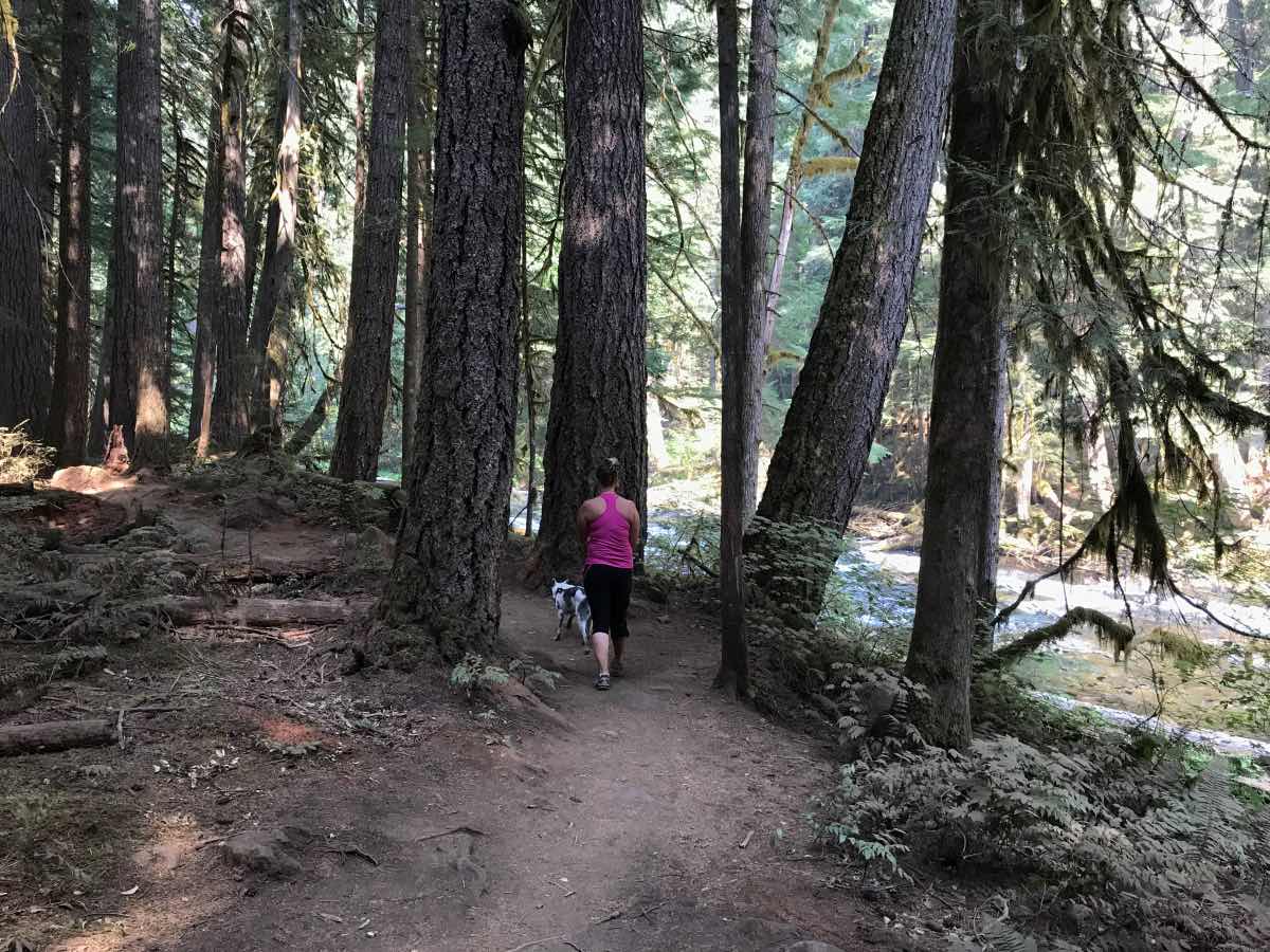 Blue Pool Hike Image