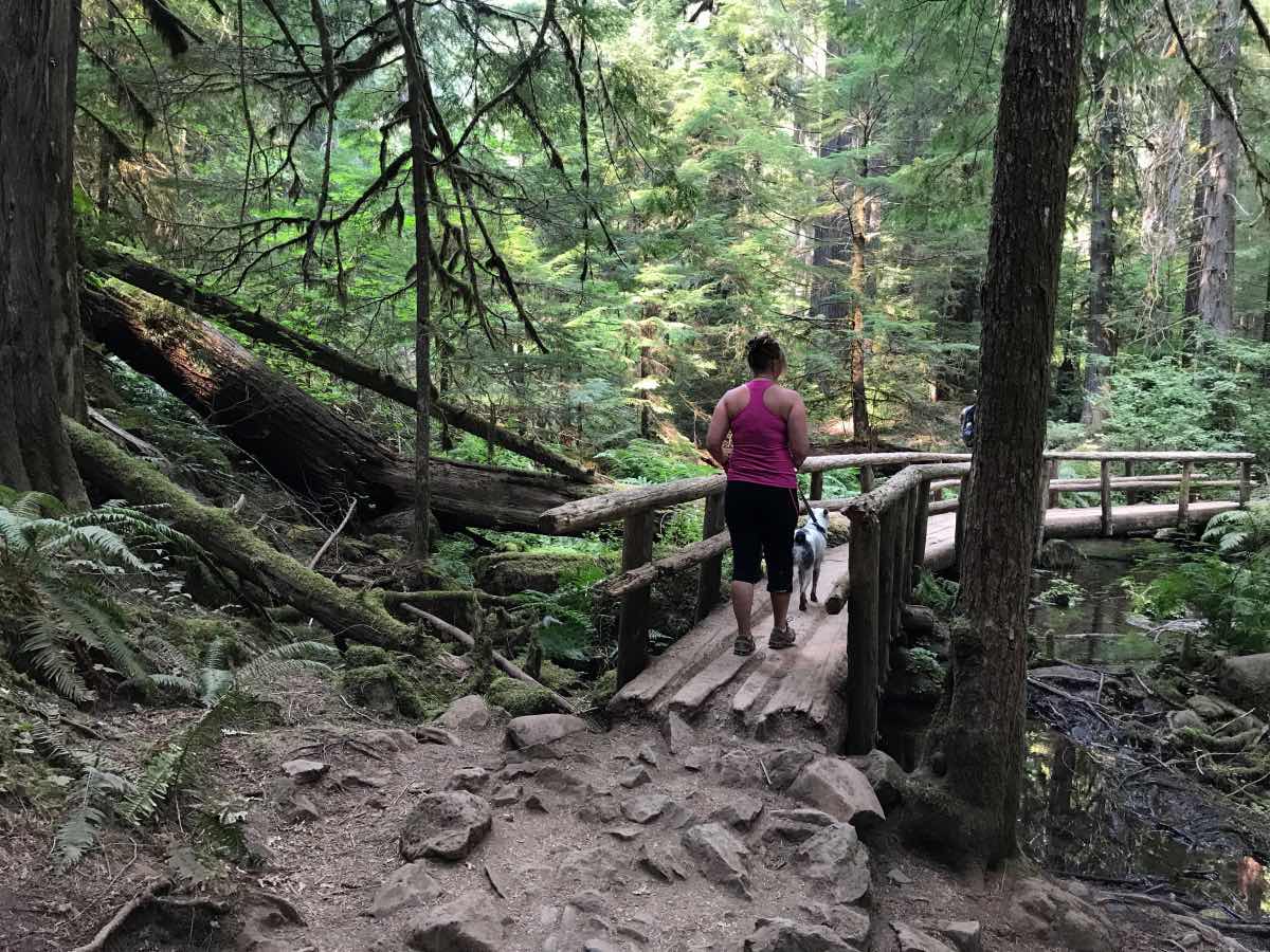 Blue Pool Hike Image