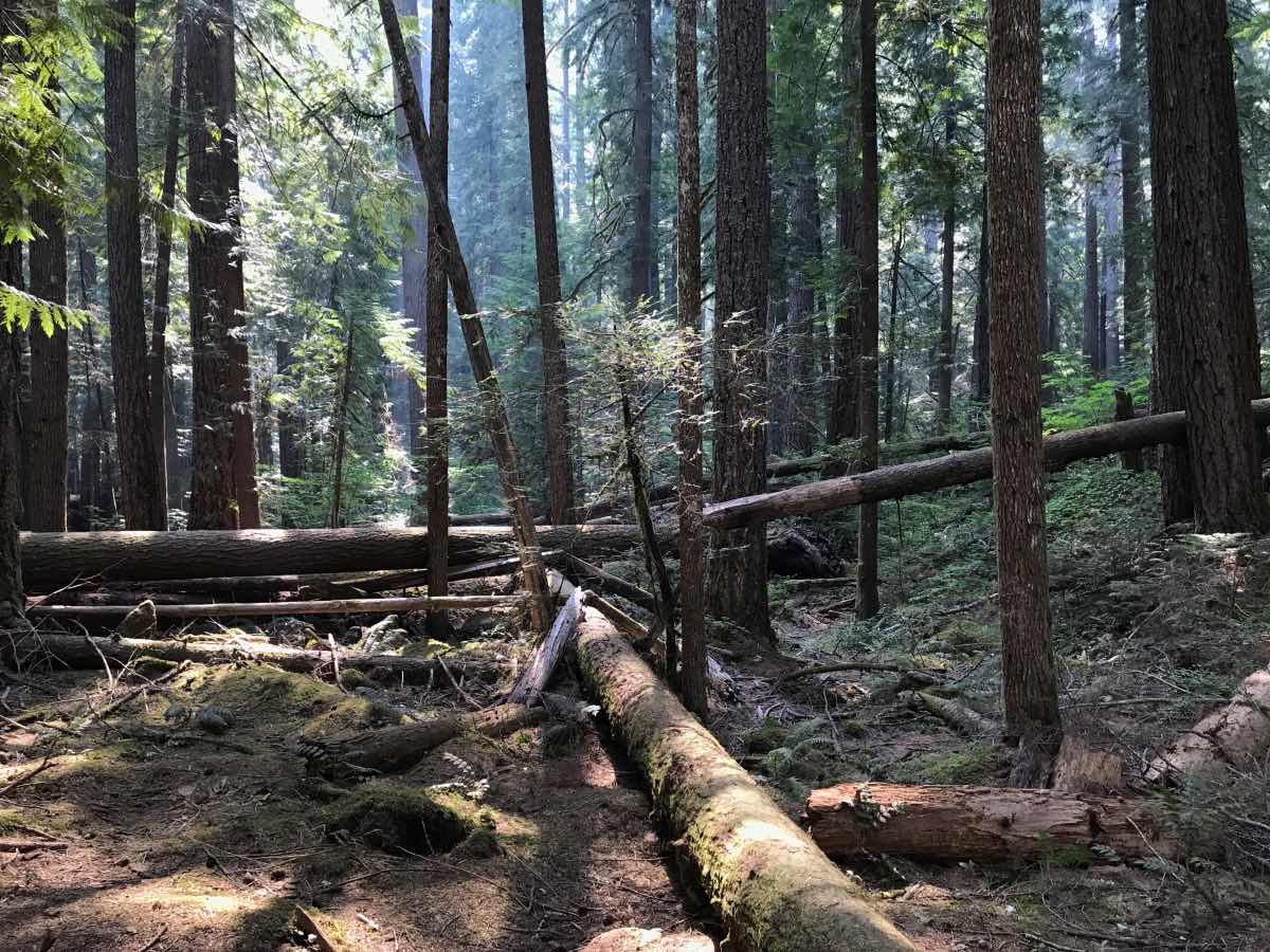 Blue Pool Hike Image