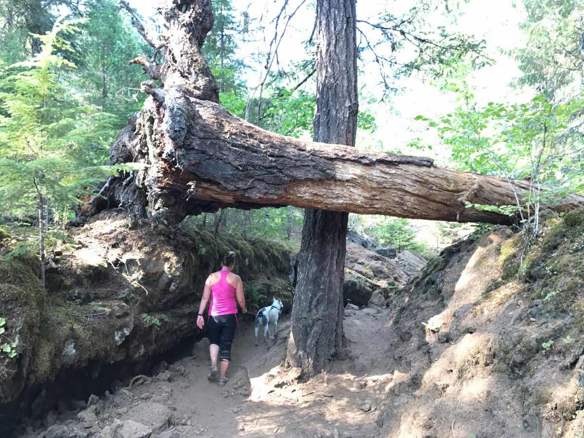 Blue Pool Hike Image