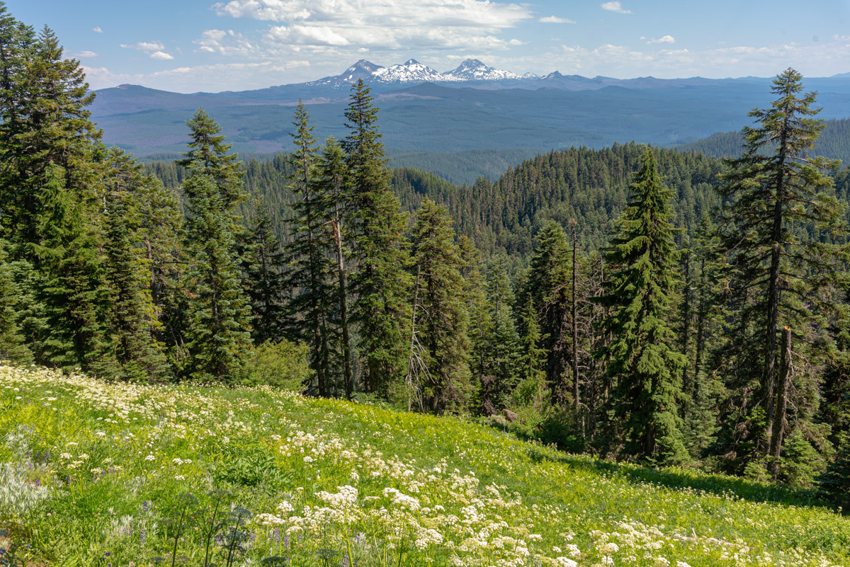 Browder Ridge via Gate Creek Hike Image
