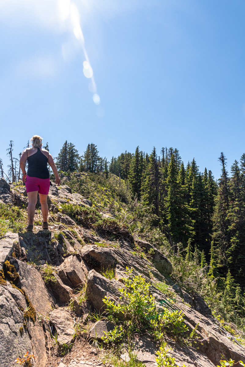 Browder Ridge via Gate Creek Hike Image