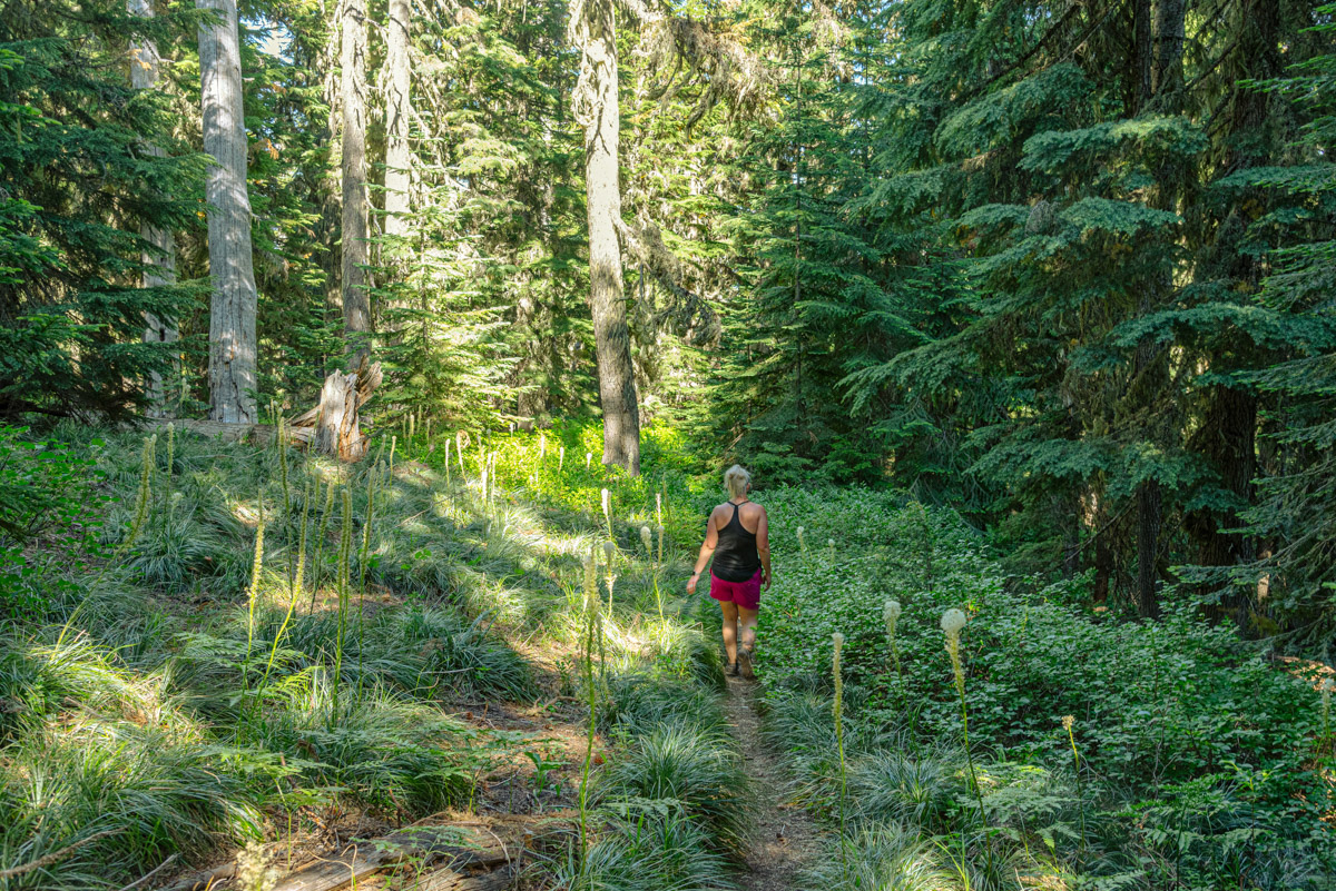 Browder Ridge via Gate Creek Hike Image