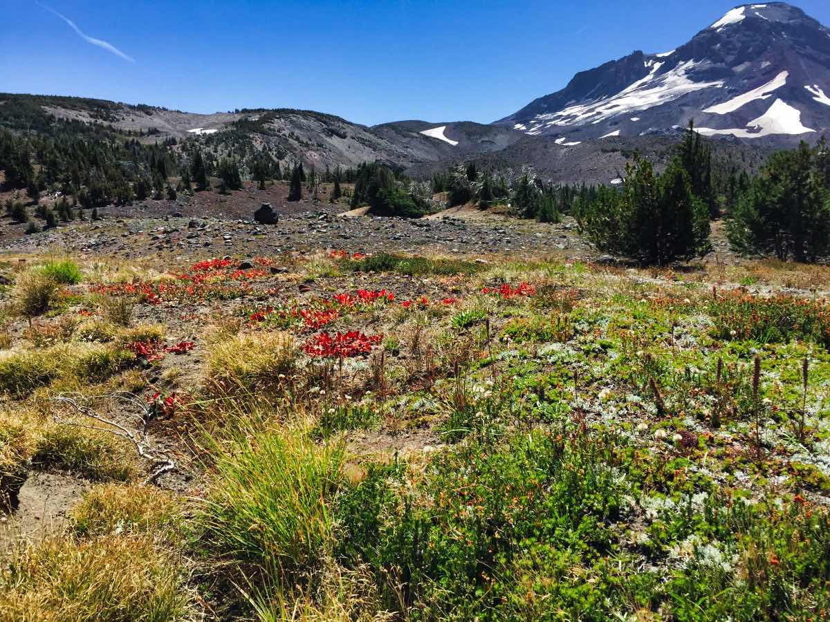 Camp Lake Hike Image