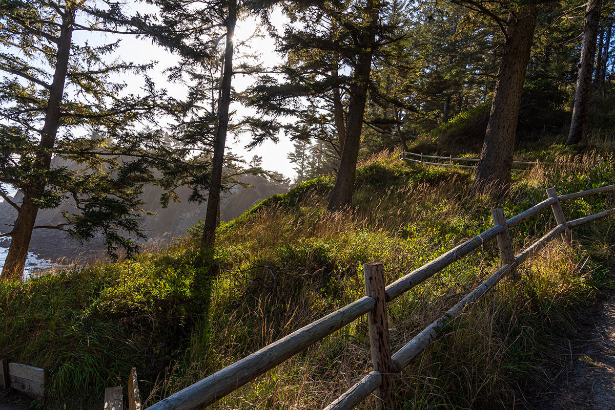Cape Arago State Park - North and South Coves Hike Image