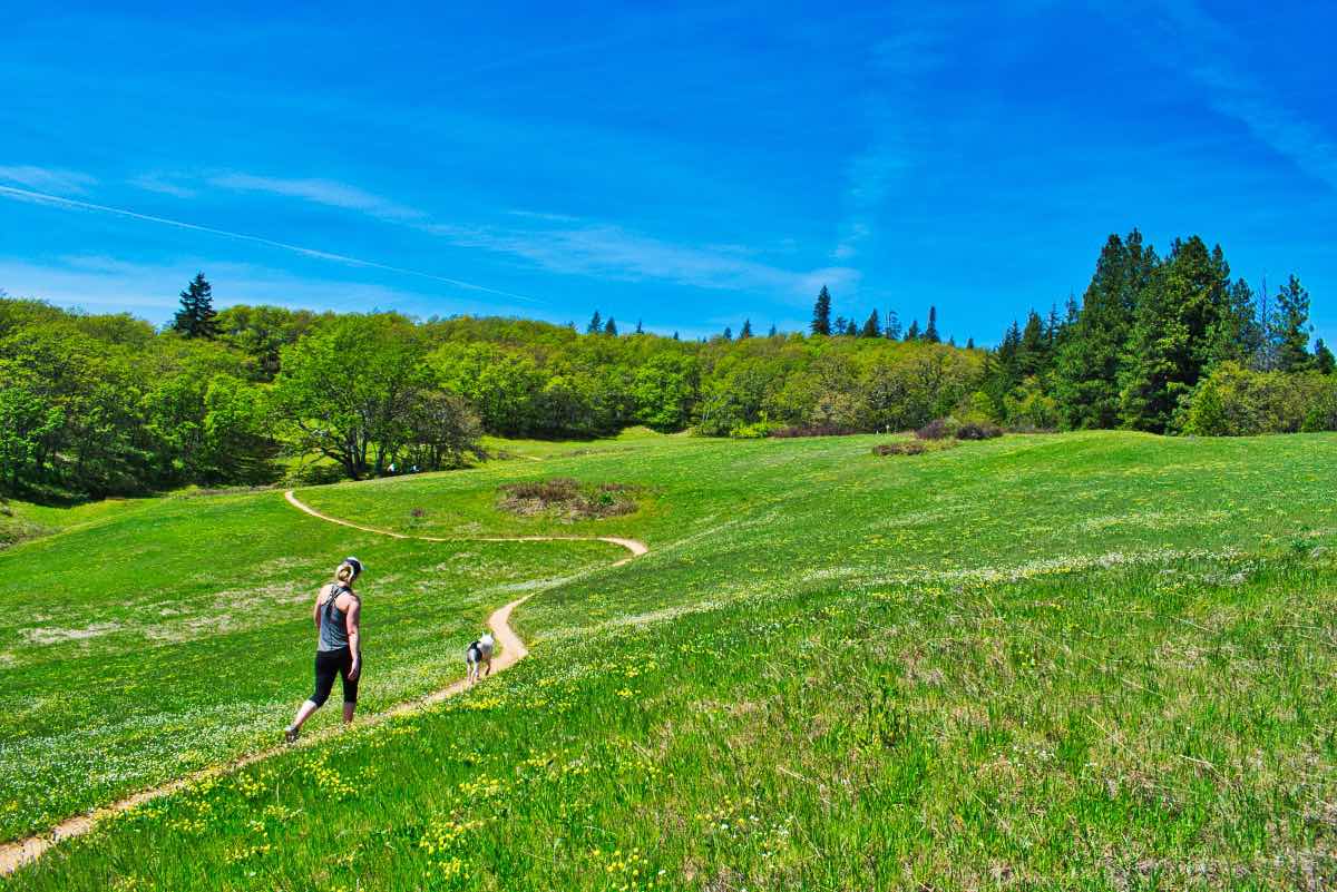 The Labyrinth to Coyote Wall Hike Image