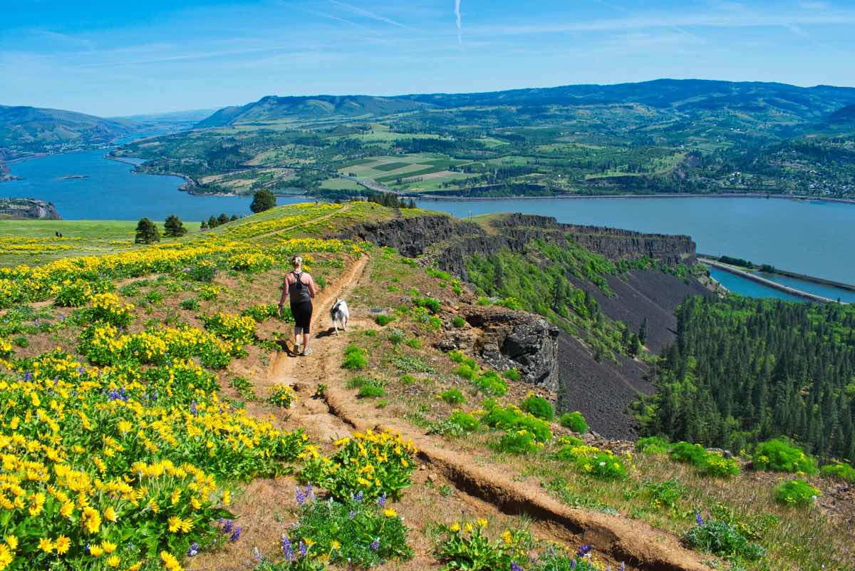 The Labyrinth to Coyote Wall Hike Image