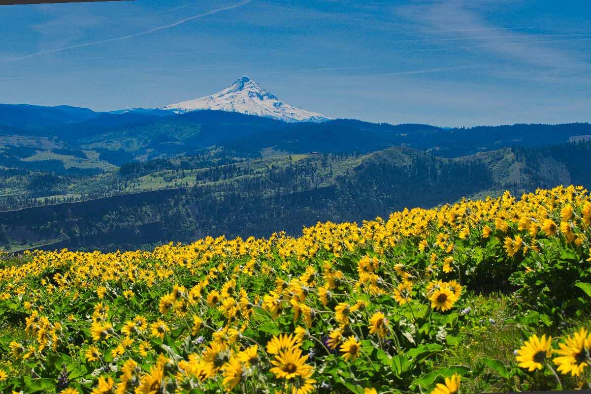 The Labyrinth to Coyote Wall Hike Image