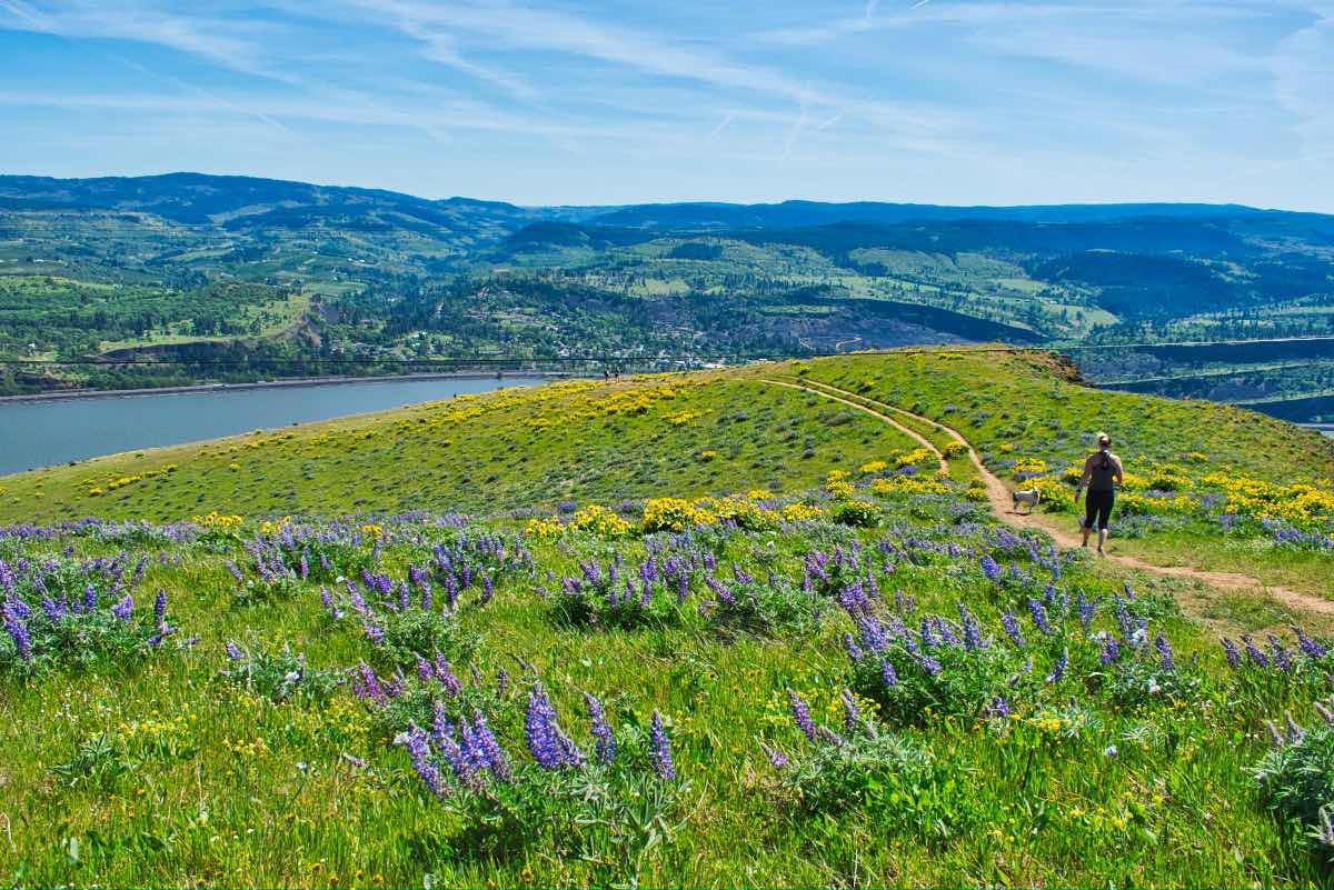 The Labyrinth to Coyote Wall Hike Image