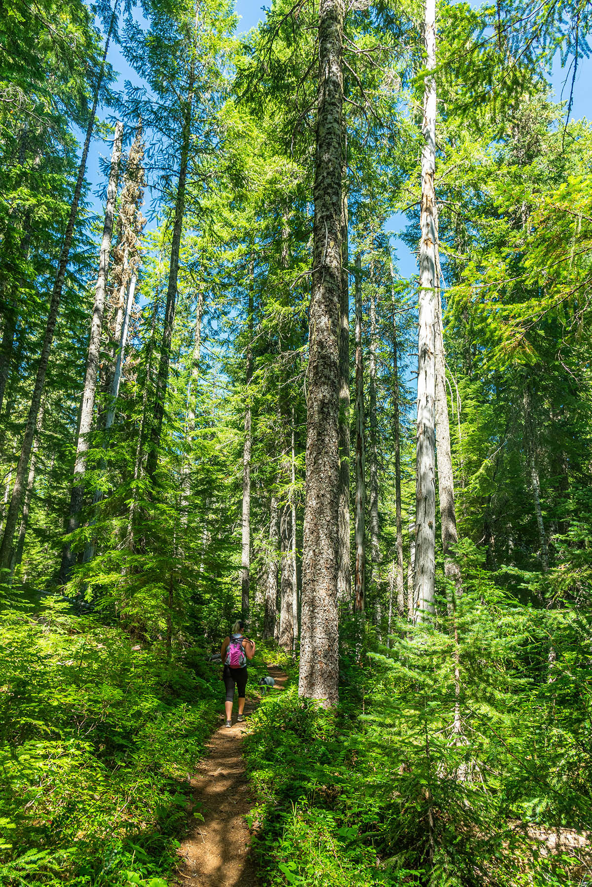 Crescent Mountain Hike Image