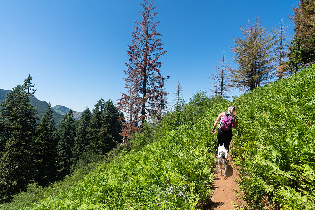 Crescent Mountain Hike Image