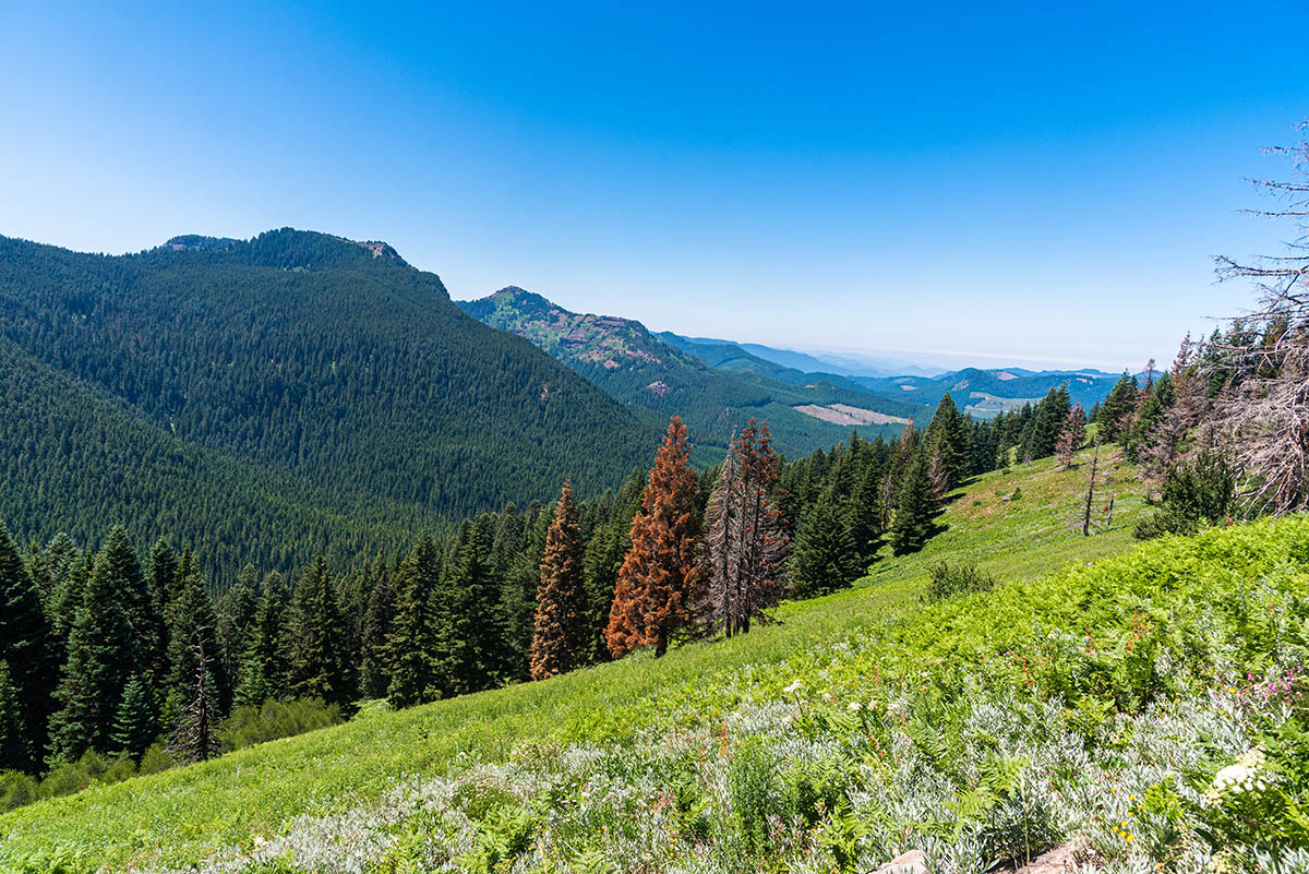 Crescent Mountain Hike Image