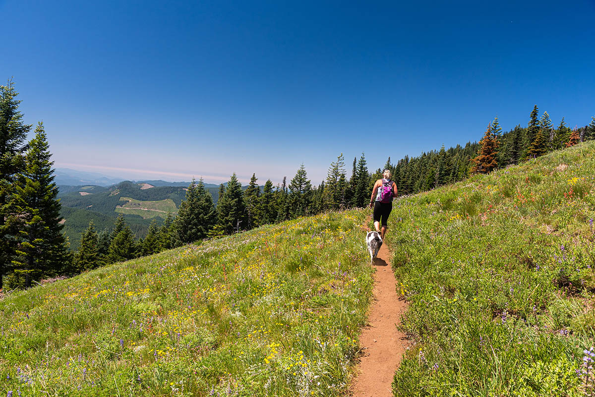 Crescent Mountain Hike Image