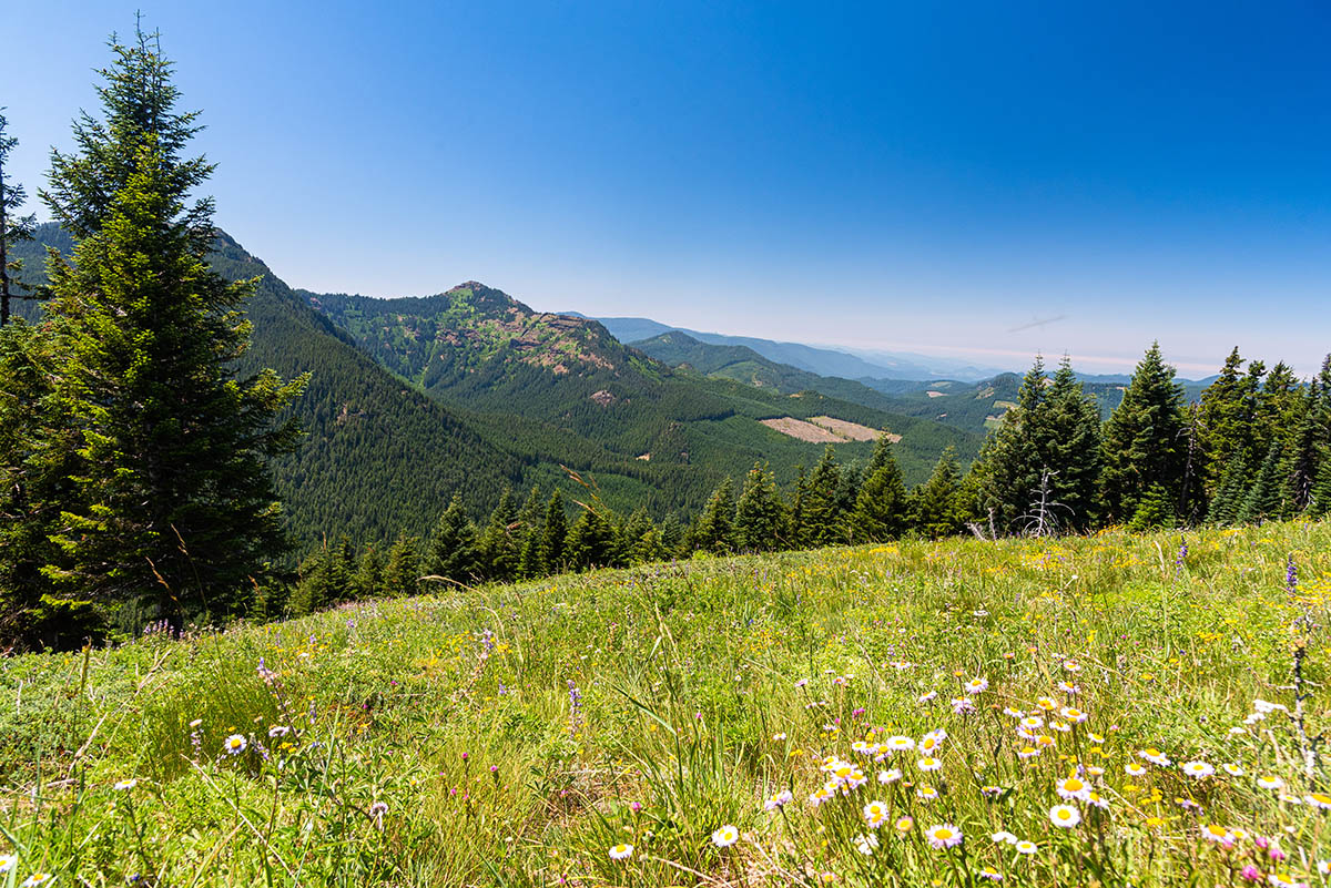 Crescent Mountain Hike Image