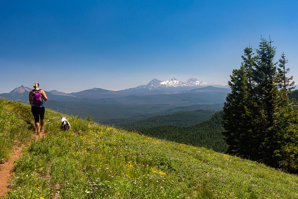 Crescent Mountain Hike Image