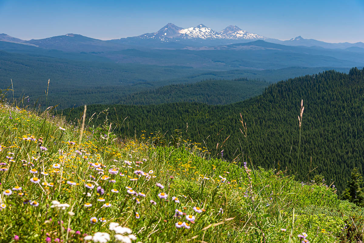 Crescent Mountain Hike Image