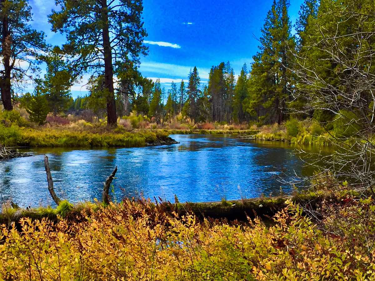 Deschutes River Trail - Dillon Falls to Benham Falls Hike Image