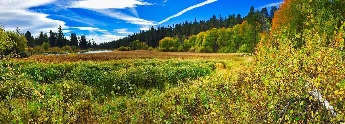Deschutes River Trail - Dillon Falls to Benham Falls Hike Image