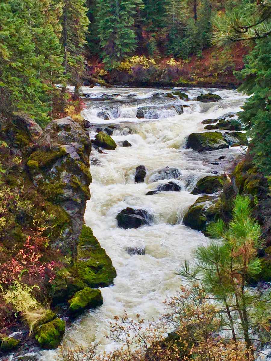 Deschutes River Trail - Dillon Falls to Benham Falls Hike Image