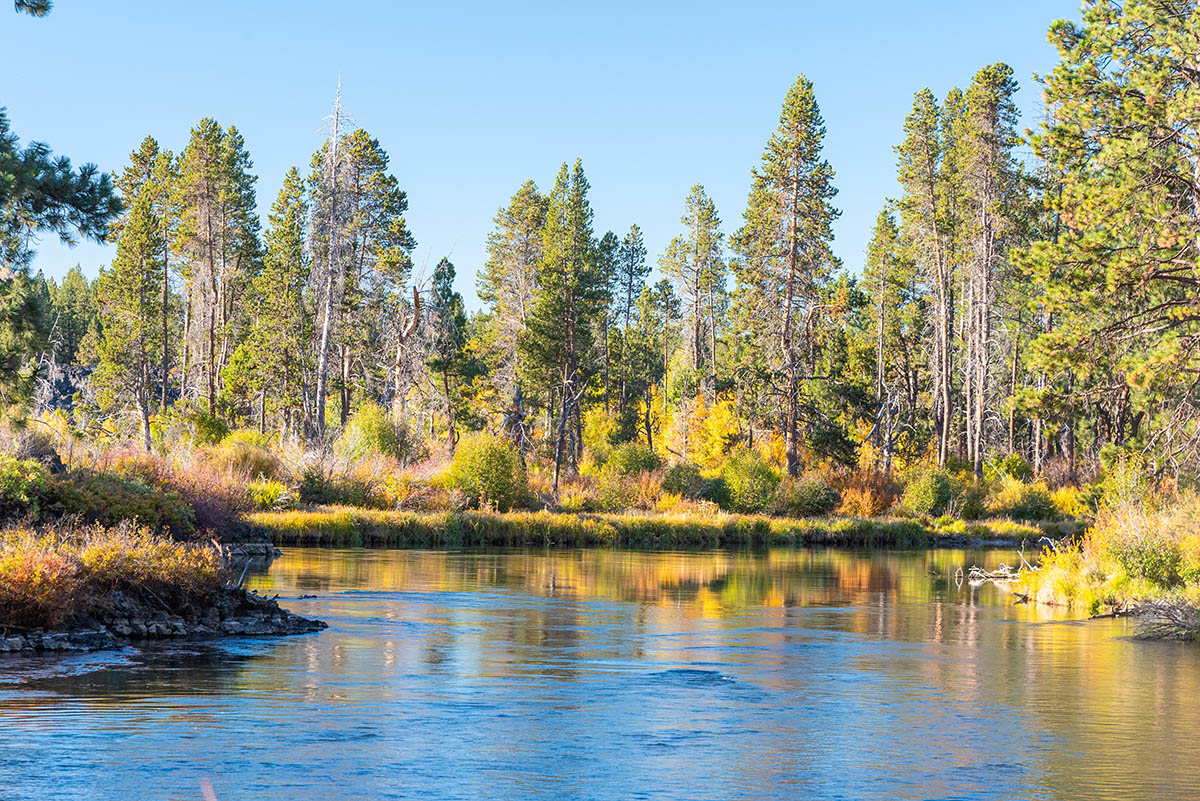 Deschutes River Trail - Lava Island to Dillon Falls Hike Image