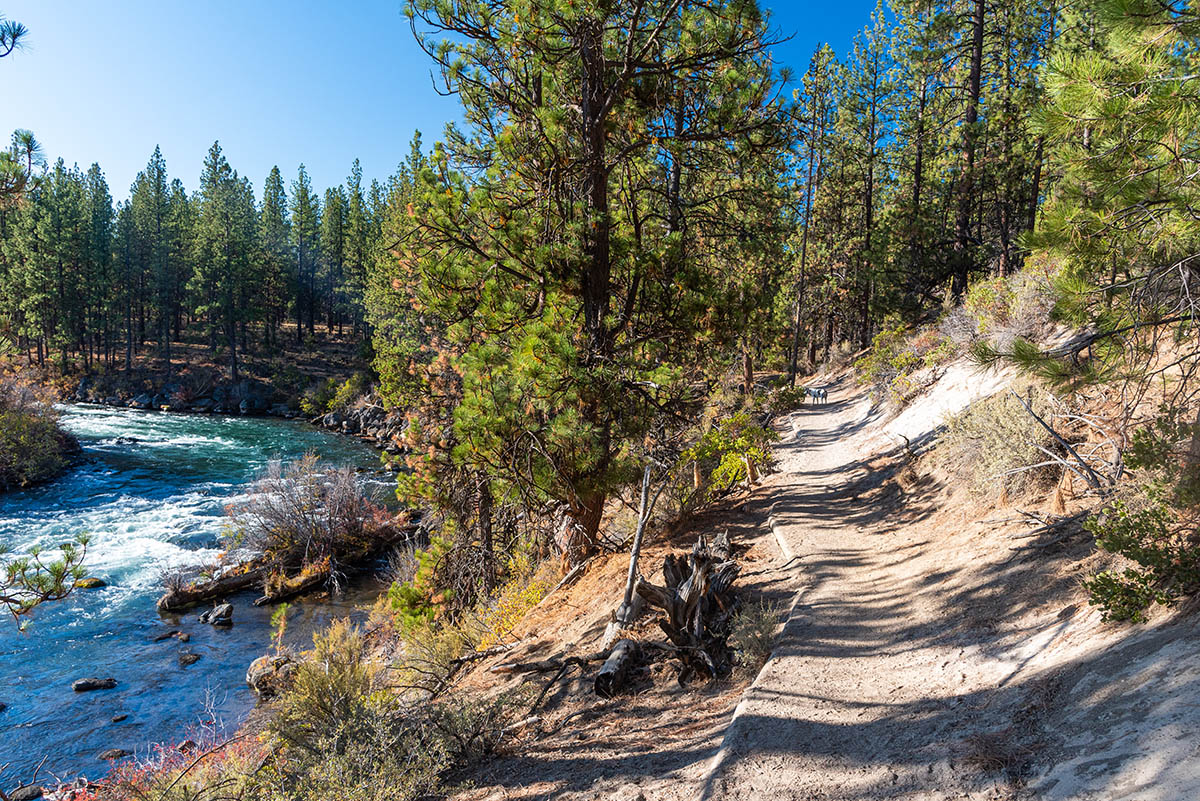 Deschutes River Trail - Lava Island to Dillon Falls Hike Image