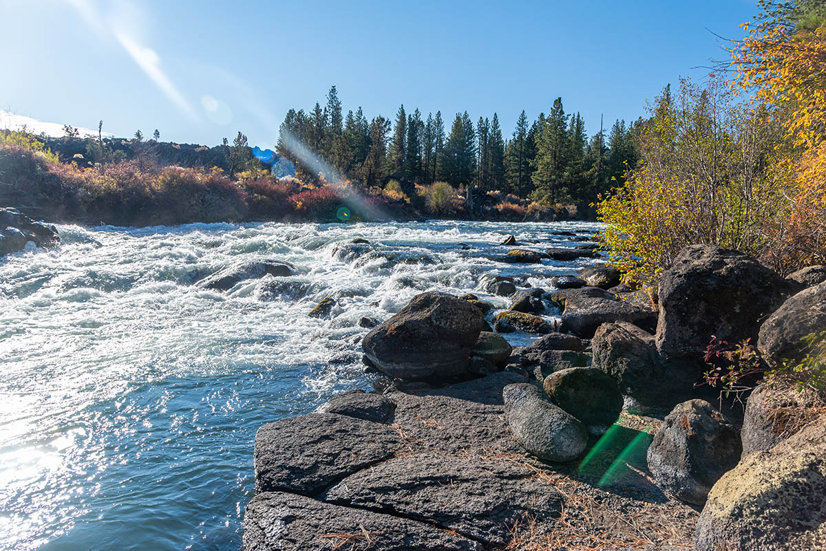 Deschutes River Trail - Lava Island to Dillon Falls Hike Image