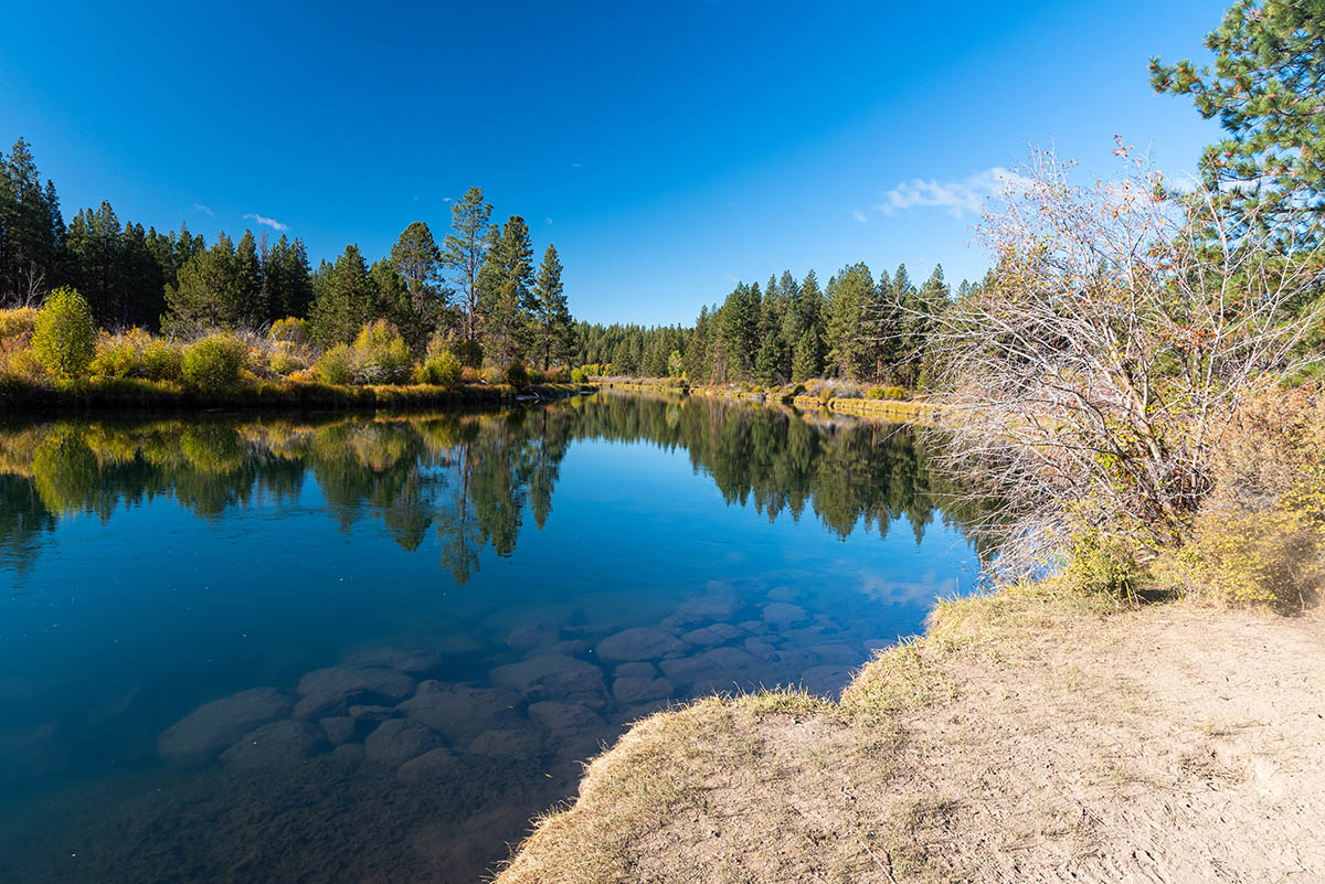 Deschutes River Trail - Lava Island to Dillon Falls Hike Image