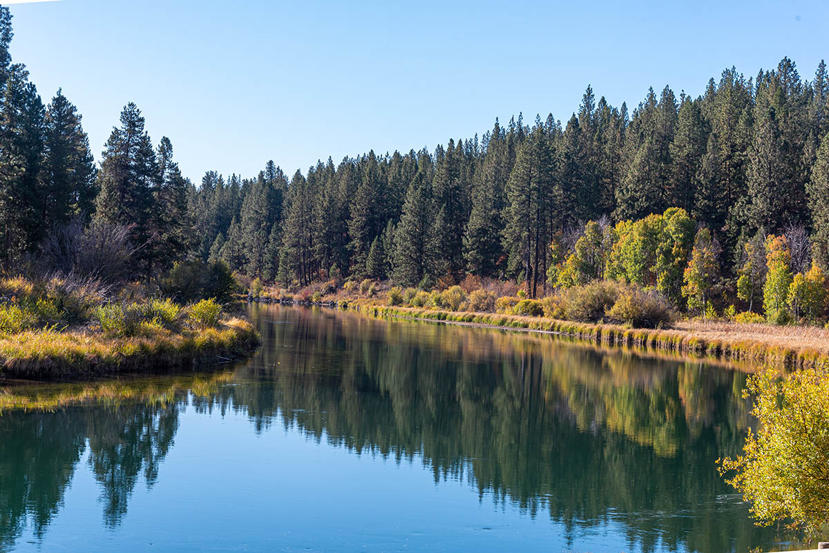 Deschutes River Trail - Lava Island to Dillon Falls Hike Image