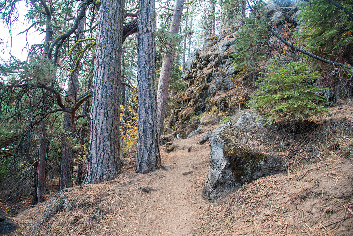 Deschutes River Trail - Lava Island to Dillon Falls Hike Image