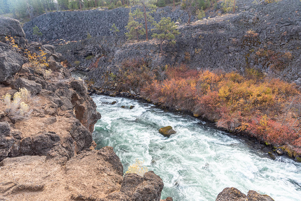Deschutes River Trail - Lava Island to Dillon Falls Hike Image
