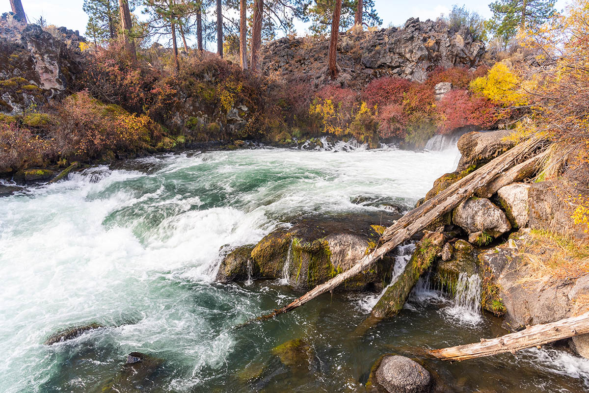 Deschutes River Trail - Lava Island to Dillon Falls Hike Image