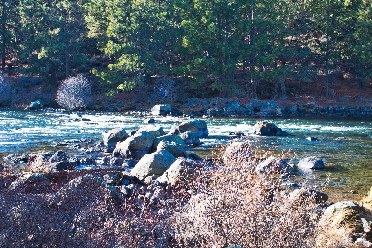 Deschutes River Trail - South Canyon Reach Hike Image