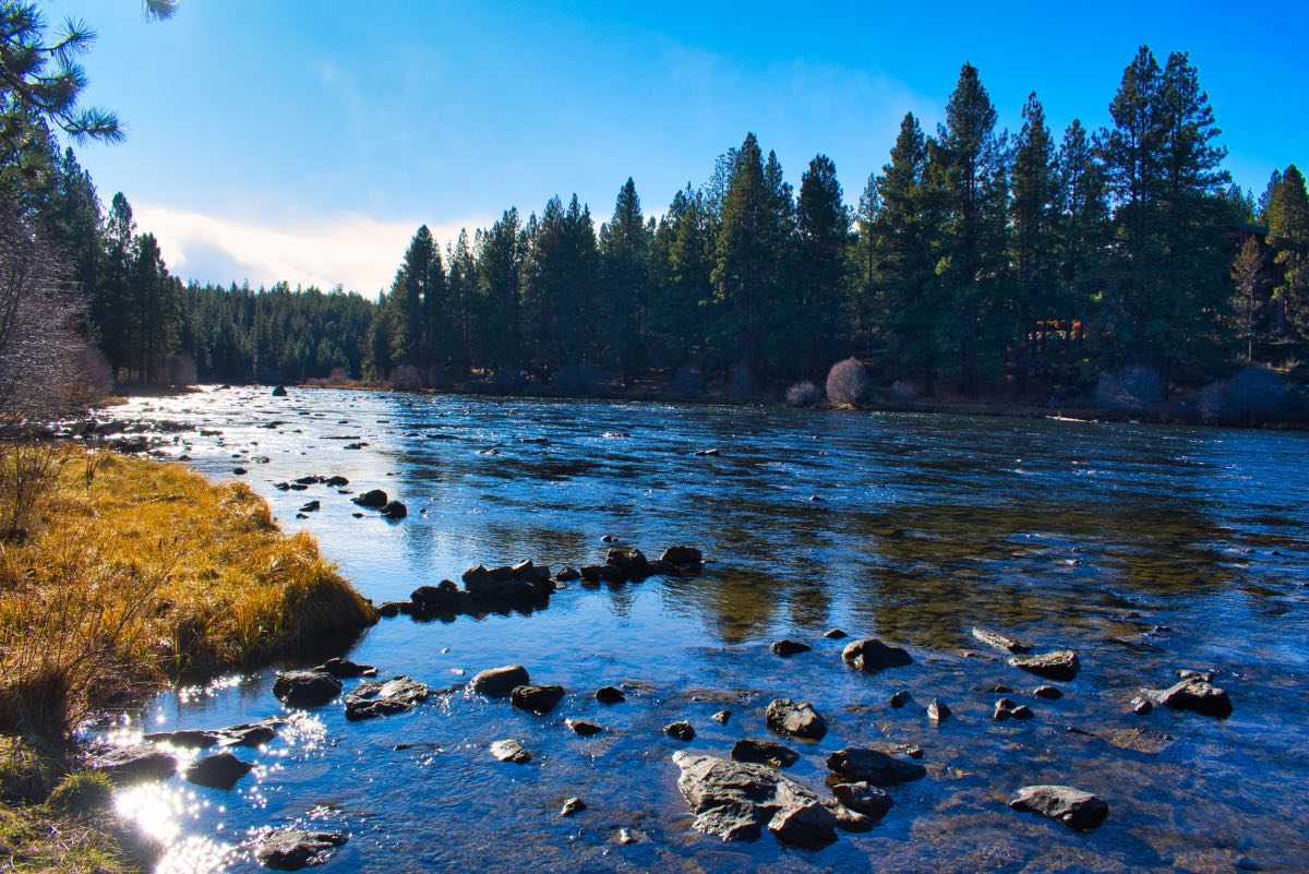 Deschutes River Trail - South Canyon Reach Hike Image