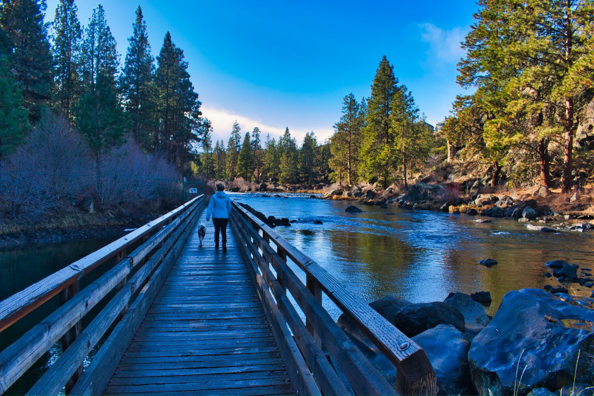 Deschutes River Trail - South Canyon Reach Hike Image