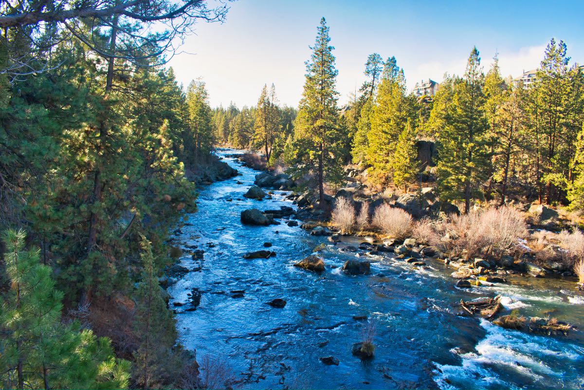Deschutes River Trail - South Canyon Reach Hike Image