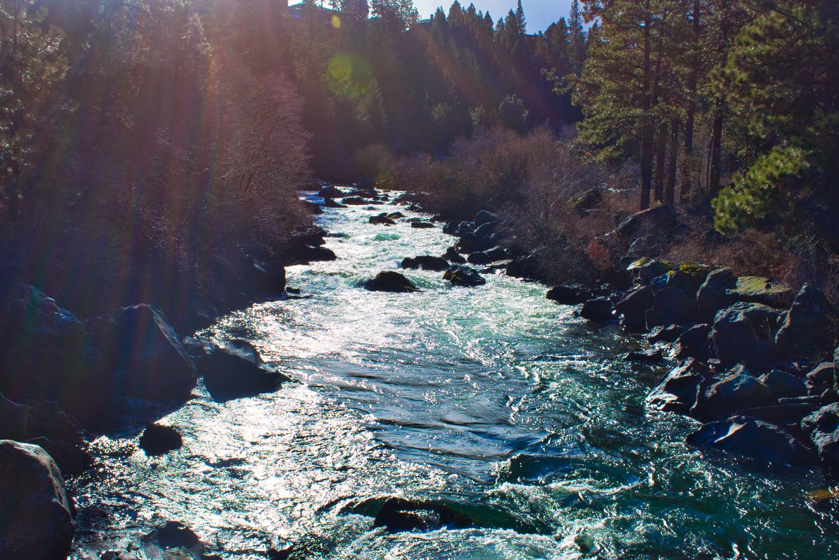 Deschutes River Trail - South Canyon Reach Hike Image