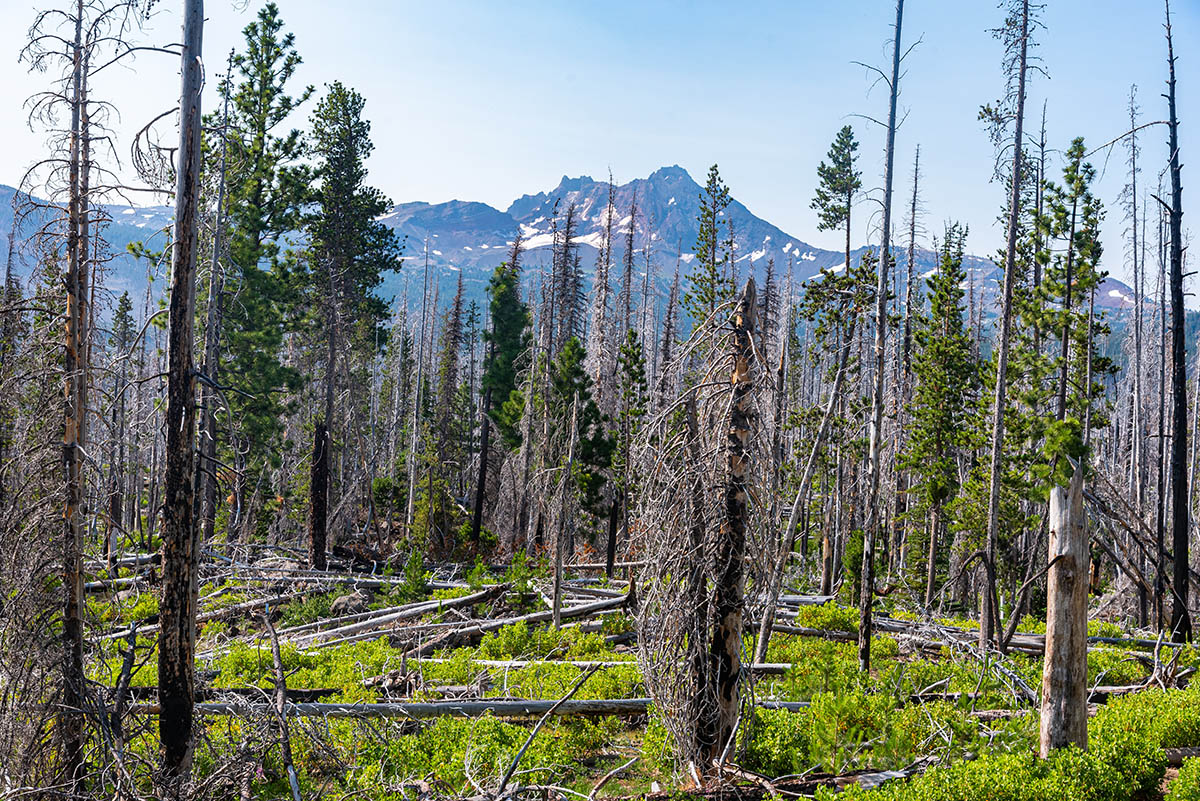Demaris Lake Hike Image