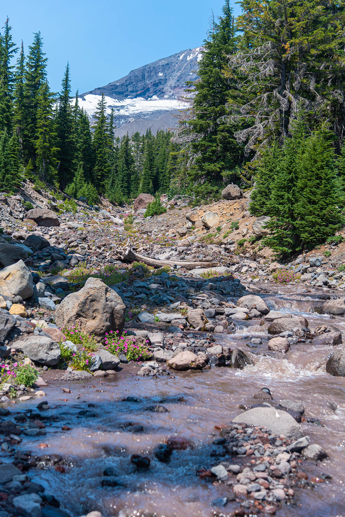 Demaris Lake Hike Image