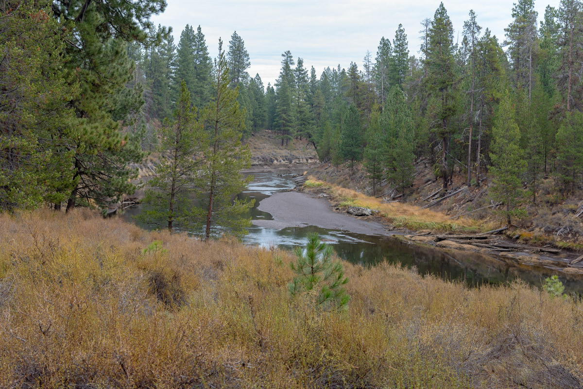 LaPine State Park - Deschutes Loop Hike Image