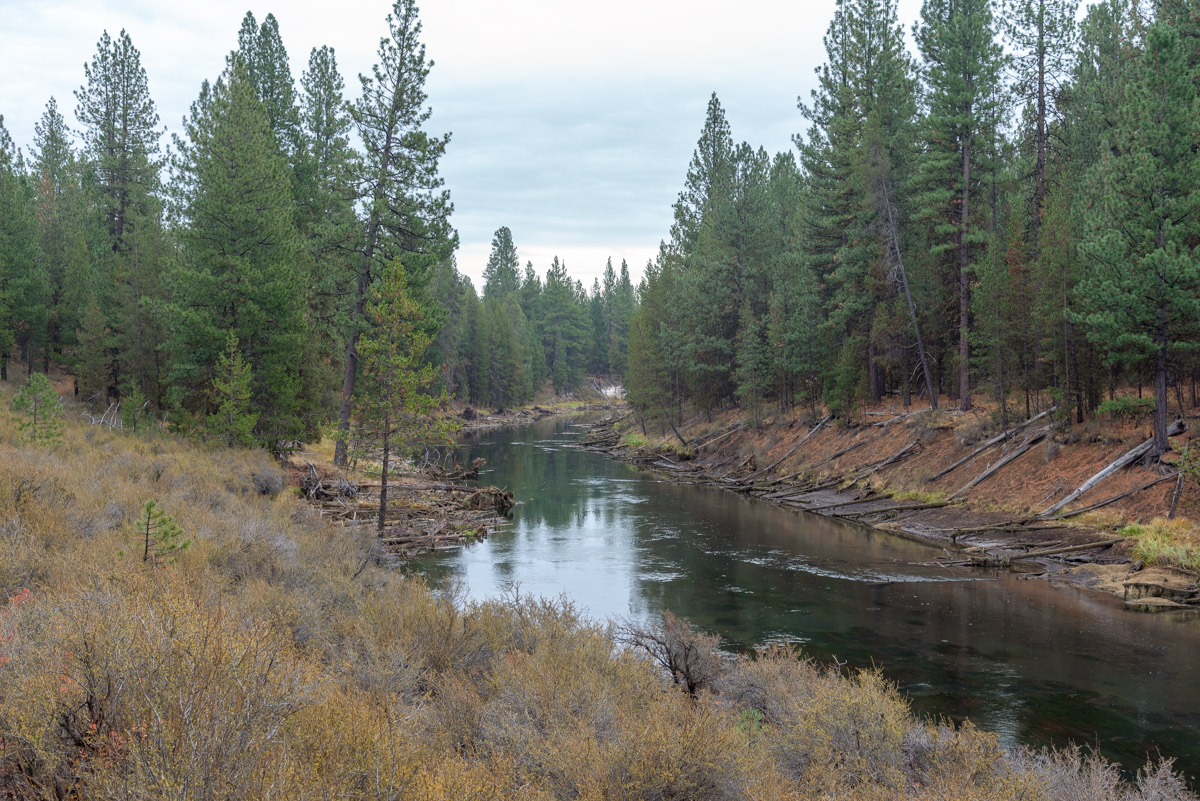 LaPine State Park - Deschutes Loop Hike Image
